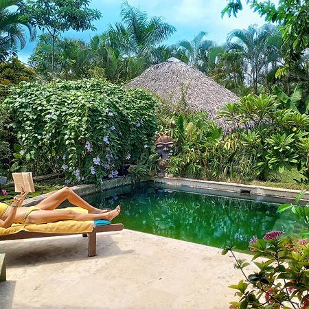 Casa Picaflor Bed and Breakfast Las Terrenas Εξωτερικό φωτογραφία