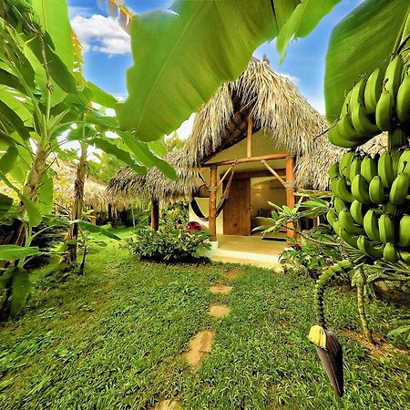 Casa Picaflor Bed and Breakfast Las Terrenas Εξωτερικό φωτογραφία