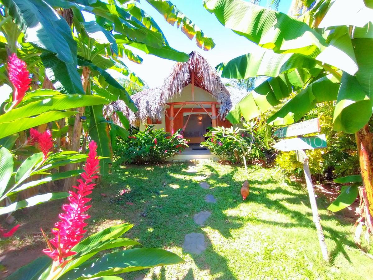 Casa Picaflor Bed and Breakfast Las Terrenas Εξωτερικό φωτογραφία