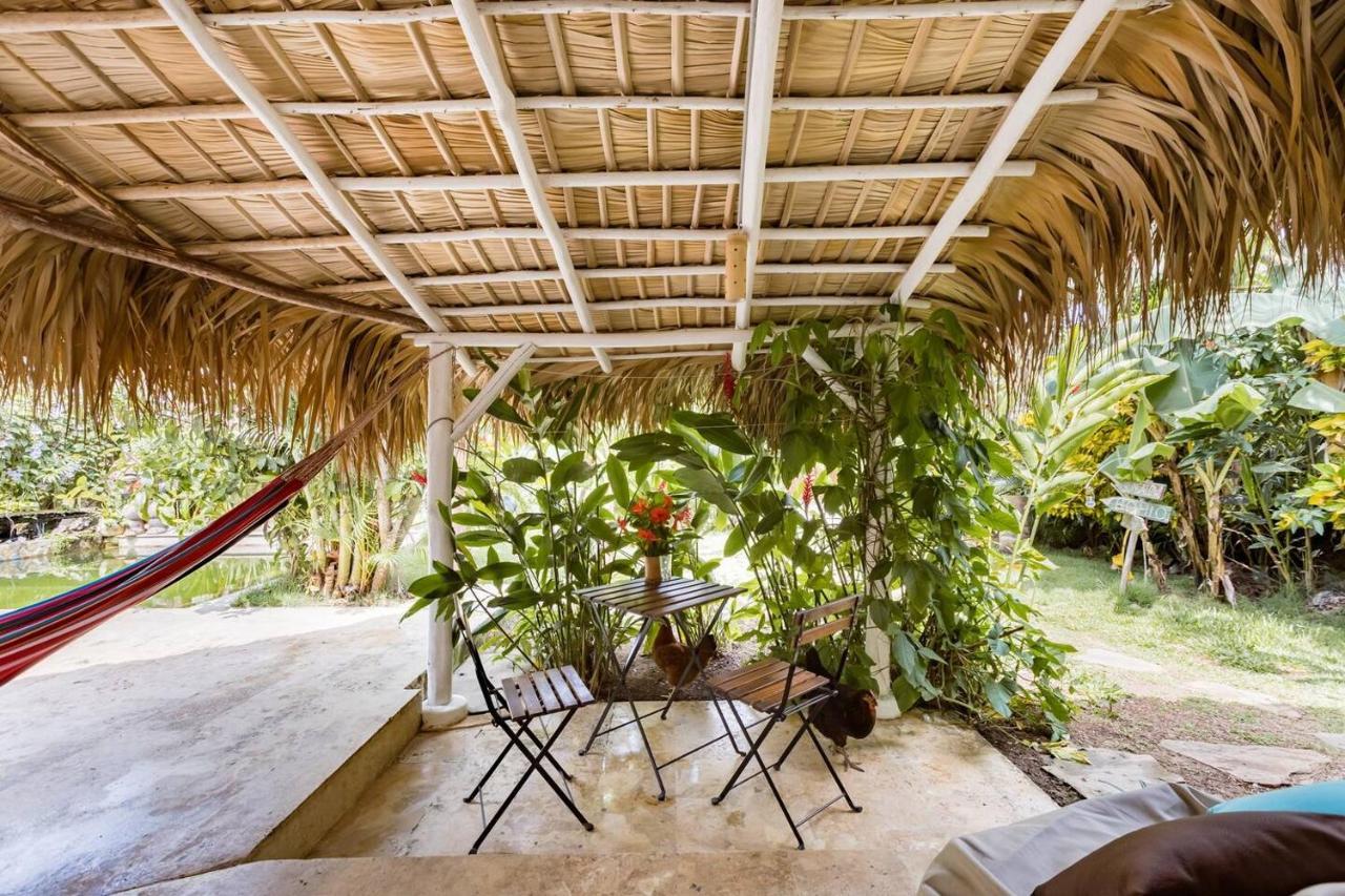 Casa Picaflor Bed and Breakfast Las Terrenas Εξωτερικό φωτογραφία