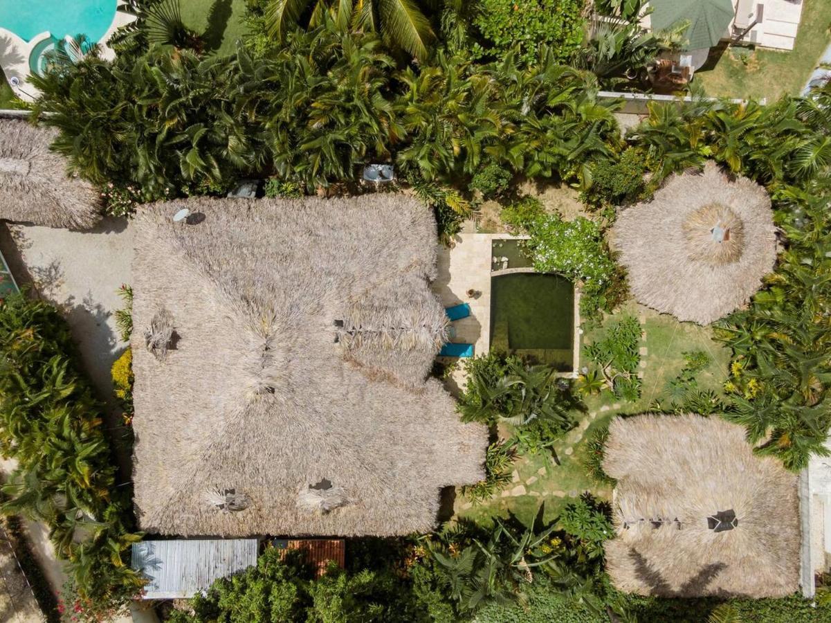 Casa Picaflor Bed and Breakfast Las Terrenas Εξωτερικό φωτογραφία