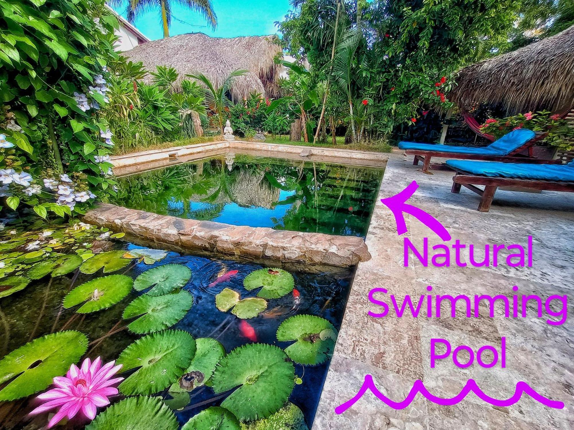 Casa Picaflor Bed and Breakfast Las Terrenas Εξωτερικό φωτογραφία