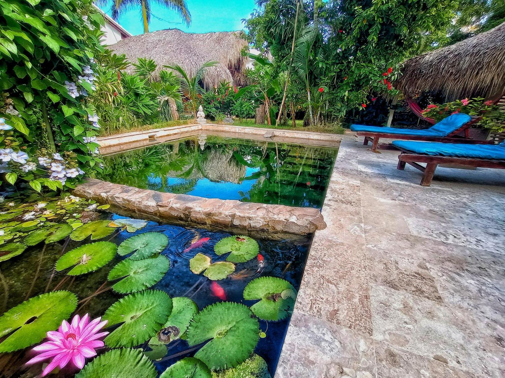 Casa Picaflor Bed and Breakfast Las Terrenas Εξωτερικό φωτογραφία