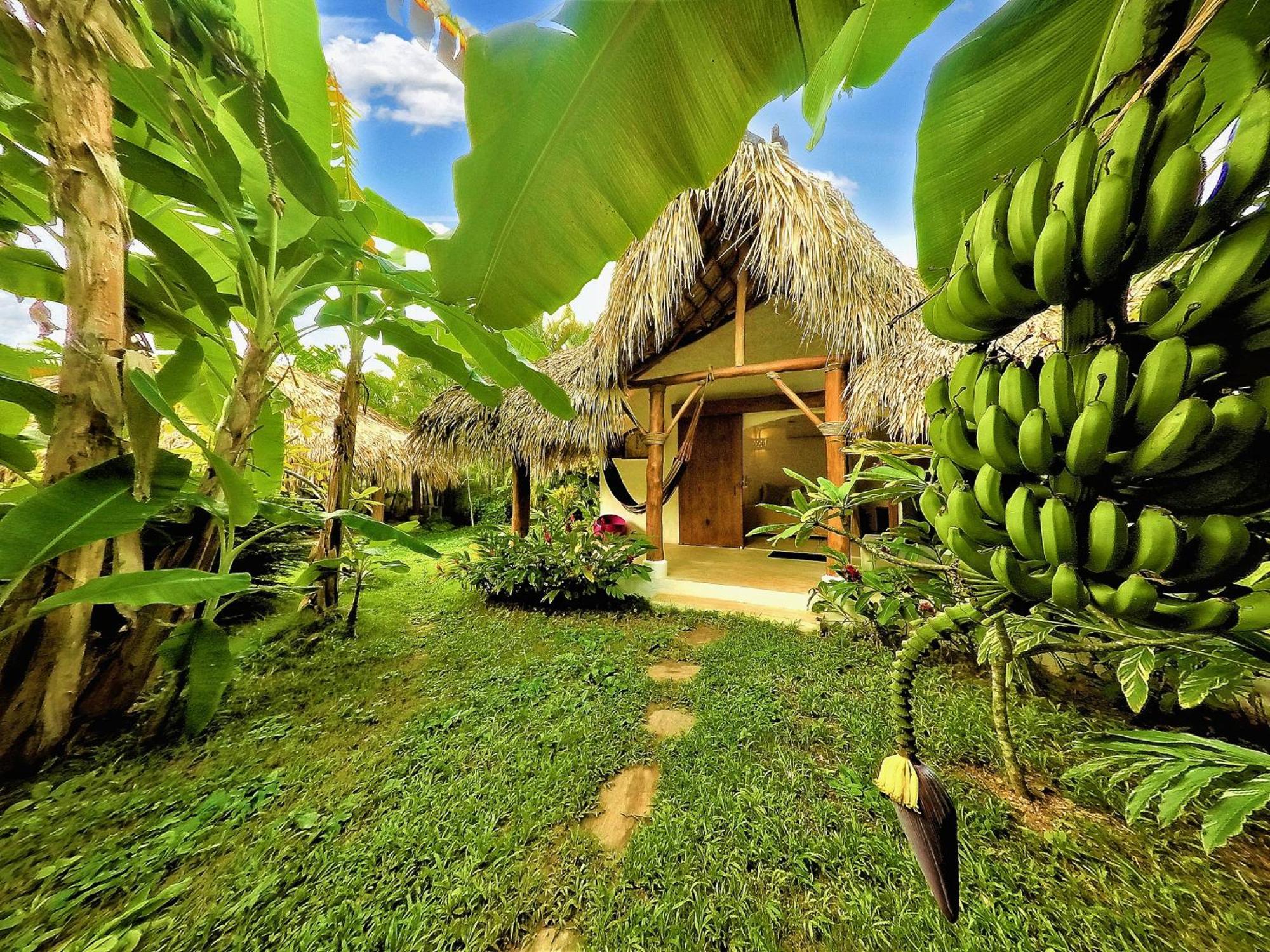 Casa Picaflor Bed and Breakfast Las Terrenas Εξωτερικό φωτογραφία