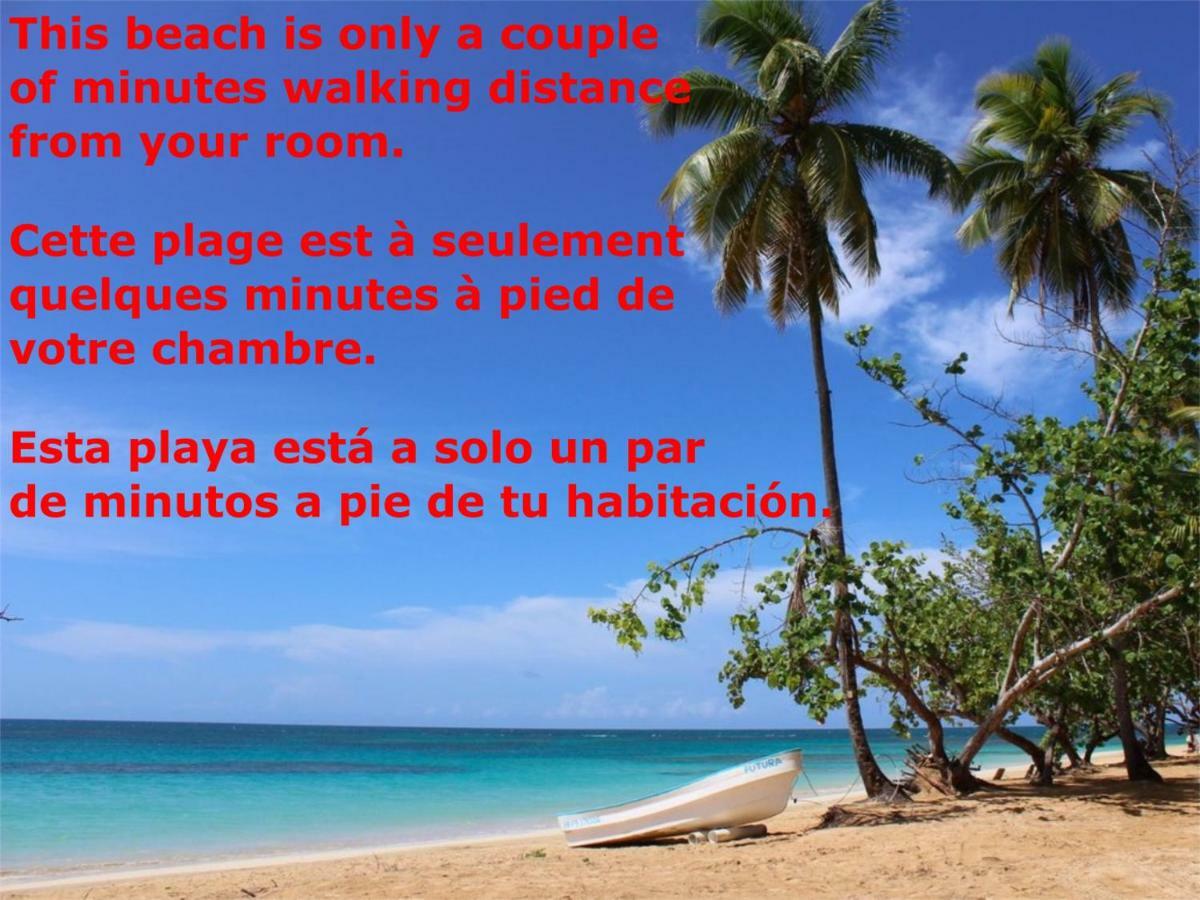 Casa Picaflor Bed and Breakfast Las Terrenas Εξωτερικό φωτογραφία