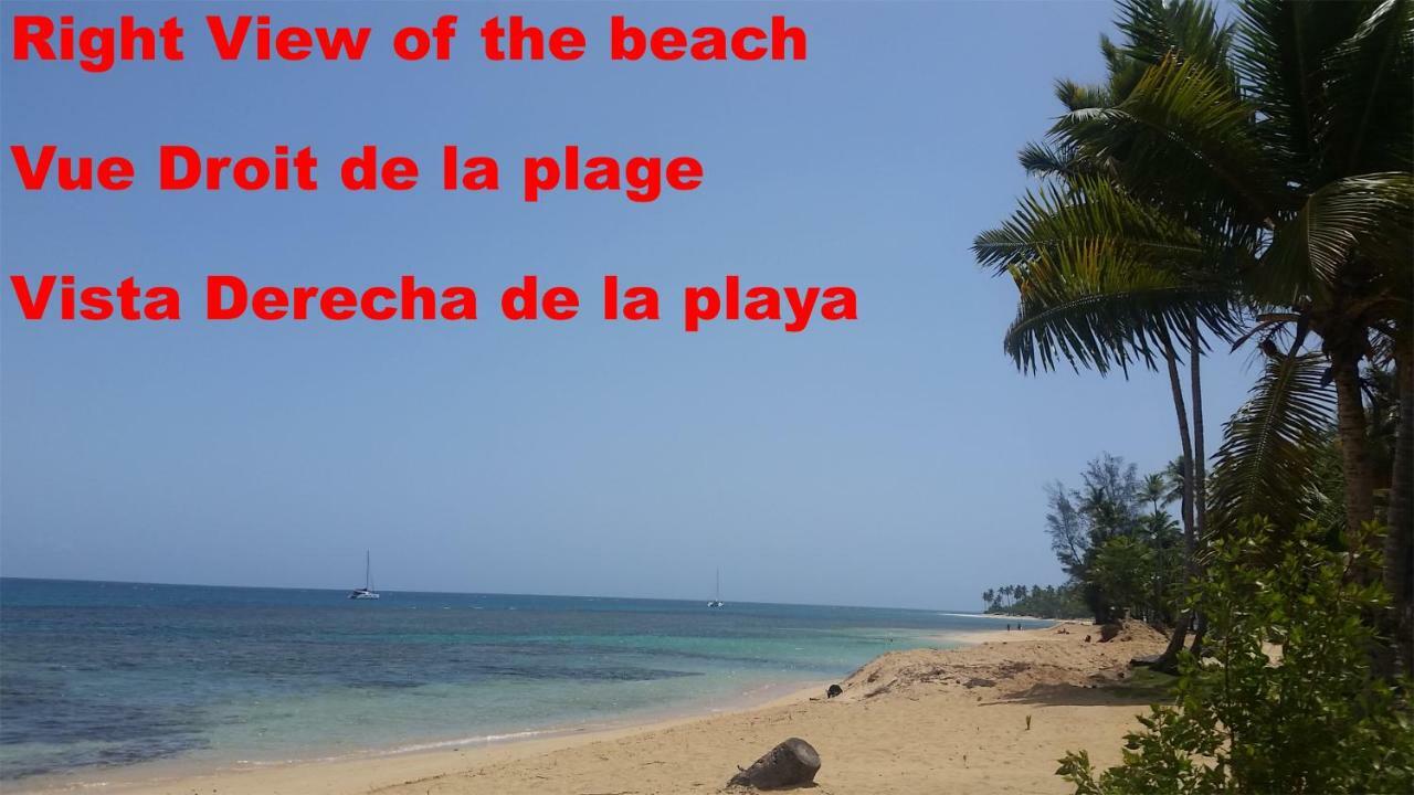 Casa Picaflor Bed and Breakfast Las Terrenas Εξωτερικό φωτογραφία